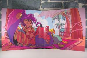 Shantae Soundtrack Vinyl (03)